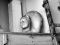 Interprochim S.A.: T�te inachev�e Sylvain Margaine (c) www.Forbidden-Places.net