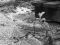 Interprochim S.A.: M�re Nature essaie de reprendre du terrain Sylvain Margaine (c) www.Forbidden-Places.net