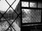 L'asile de Greystone: 10 - Regard vers le monde ext�rieur, jour gris � Greystone. Sylvain Margaine (c) www.Forbidden-Places.net