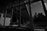 Le Sanatorium Joseph Lemaire: 14 - Vue sur le jardin. Sylvain Margaine (c) www.Forbidden-Places.net
