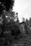 Beelitz-Heilst?tten Sanatorium: 10 - Each building has its own heating system with two chemneys. Sylvain Margaine (c) www.Forbidden-Places.net