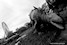 Le Parc d'Attractions Abandonn? de Spreepark: 1- Bienvenue. Les rares dinosaures encore debout accueillent l'explorateur t�m�raire. Sylvain Margaine (c) www.Forbidden-Places.net