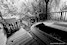 Le Parc d'Attractions Abandonn? de Spreepark: 2- La rivi�re abandonn�e Sylvain Margaine (c) www.Forbidden-Places.net