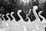 Le Parc d'Attractions Abandonn? de Spreepark: 5- Cygnes fant�mes Sylvain Margaine (c) www.Forbidden-Places.net
