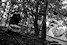 Le Parc d'Attractions Abandonn? de Spreepark: 13- La voiturette moustache Sylvain Margaine (c) www.Forbidden-Places.net