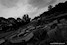 Le Parc d'Attractions Abandonn? de Spreepark: 18- La rivi�re ass�ch�e Sylvain Margaine (c) www.Forbidden-Places.net