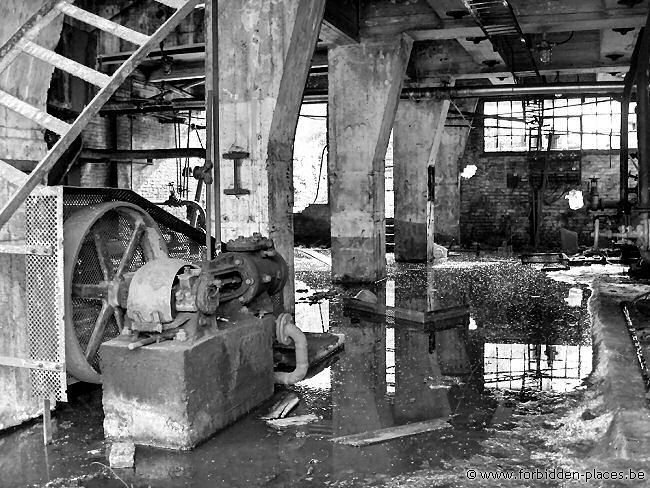 Cokeries d'Anderlues - (c) Forbidden Places - Sylvain Margaine - Reflets dans les caves