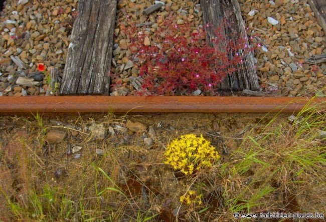 Arsenal de Pont-à-Celles - (c) Forbidden Places - Sylvain Margaine - Rusted rails