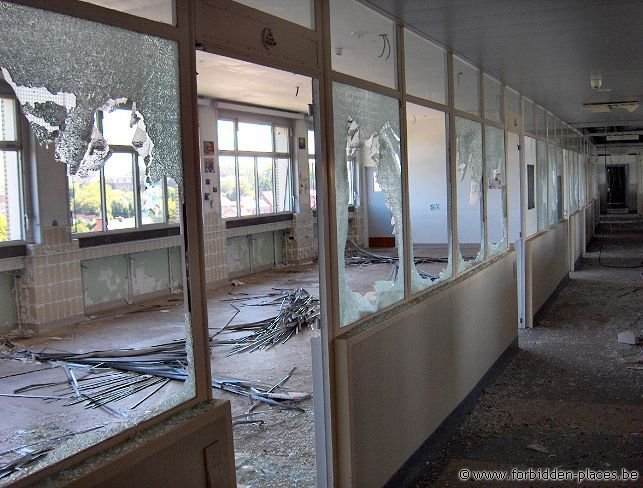 Hôpital civil de Charleroi - (c) Forbidden Places - Sylvain Margaine - Sur le toit, nous trouvons un pigeon crucifié. Malchance? Cruauté? Redescendons...