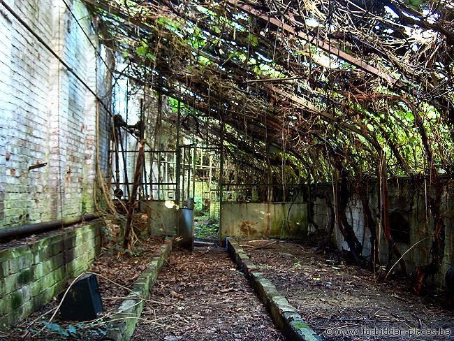 Casa Solariega de Erpent - (c) Forbidden Places - Sylvain Margaine - Greenhouse. Here the time has stopped