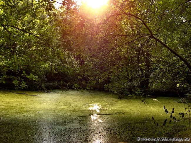 Erpent manor house - (c) Forbidden Places - Sylvain Margaine - Sunset on the swimming-pool