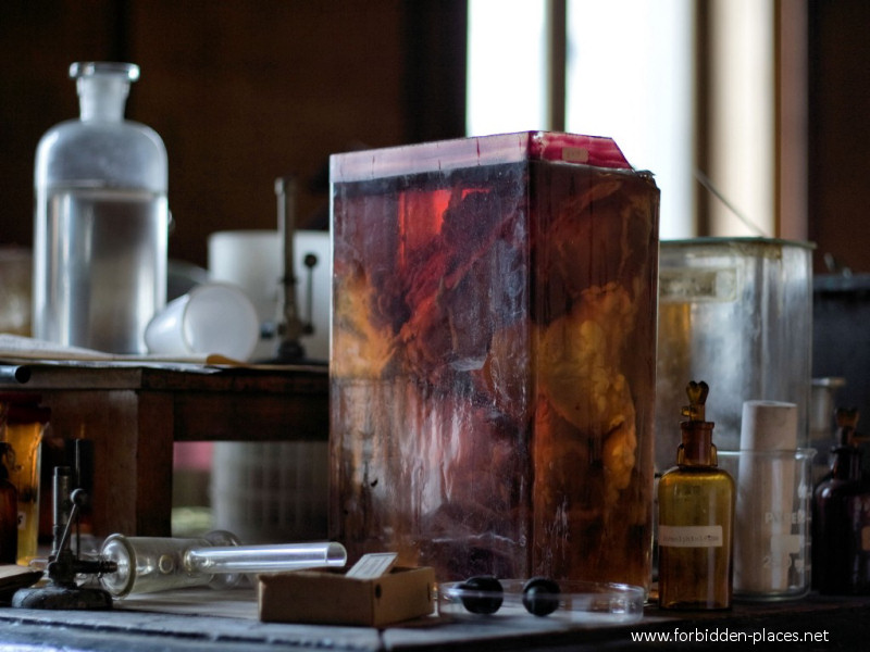 Le Musée Des Horreurs ou L'Ecole Vétérinaire d'Anderlecht - (c) Forbidden Places - Sylvain Margaine - 3- 