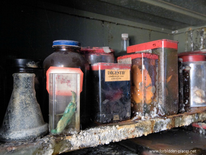 Le Musée Des Horreurs ou L'Ecole Vétérinaire d'Anderlecht - (c) Forbidden Places - Sylvain Margaine - 12 - 