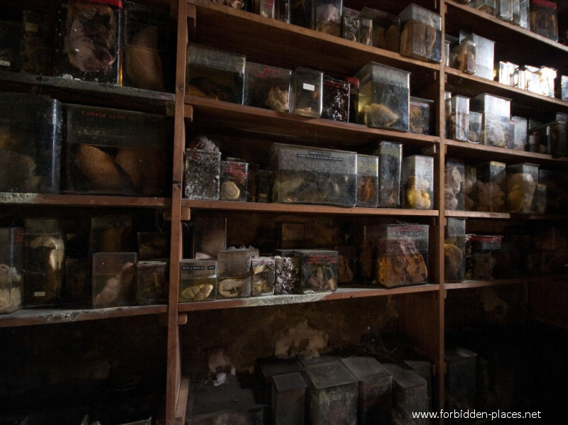 Le Musée Des Horreurs ou L'Ecole Vétérinaire d'Anderlecht - (c) Forbidden Places - Sylvain Margaine - 20 -