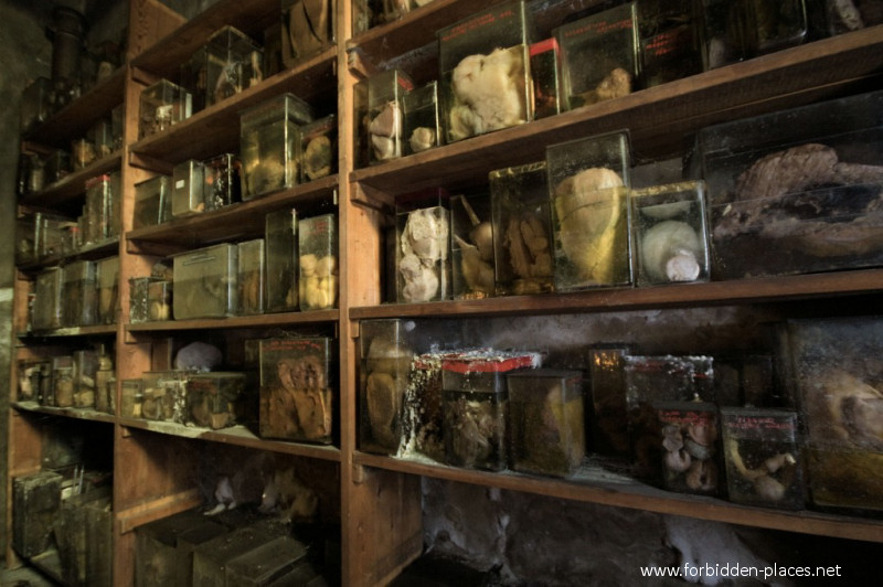 Le Musée Des Horreurs ou L'Ecole Vétérinaire d'Anderlecht - (c) Forbidden Places - Sylvain Margaine - 21 -