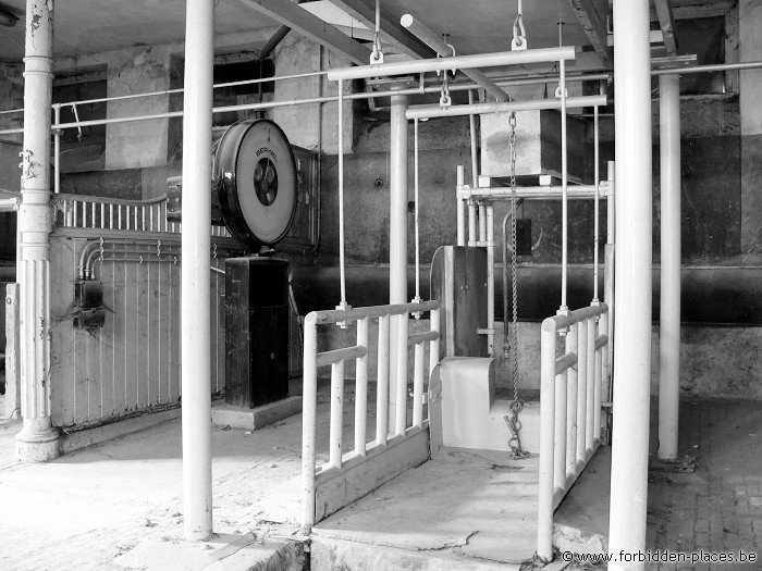 Le Musée Des Horreurs ou L'Ecole Vétérinaire d'Anderlecht - (c) Forbidden Places - Sylvain Margaine - Pesage des bestiaux