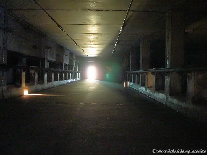 Stella-Artois malthouse - (c) Forbidden Places - Sylvain Margaine - One of the endless corridors for the malt to germinate. They are of course completely dark.