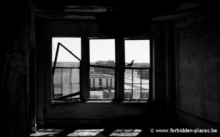 La ciudad fantasma de Gary, Indiana - (c) Forbidden Places - Sylvain Margaine - 8