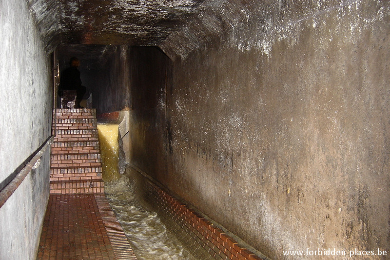 Brussels underground sewers and drains system - (c) Forbidden Places - Sylvain Margaine - Mushrooms, Riches Claires street.