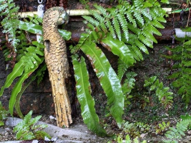 Interprochim S.A. - (c) Forbidden Places - Sylvain Margaine - Souvenir de jungles lointaines