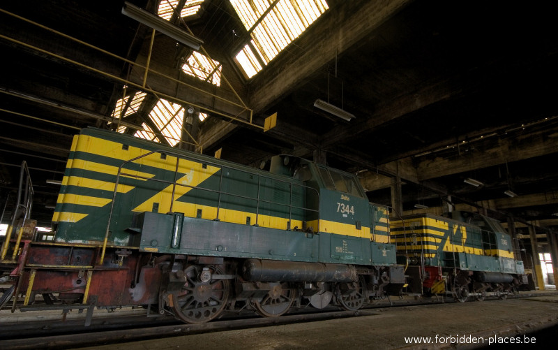 Locomotive's graveyard - (c) Forbidden Places - Sylvain Margaine - Delta 7344