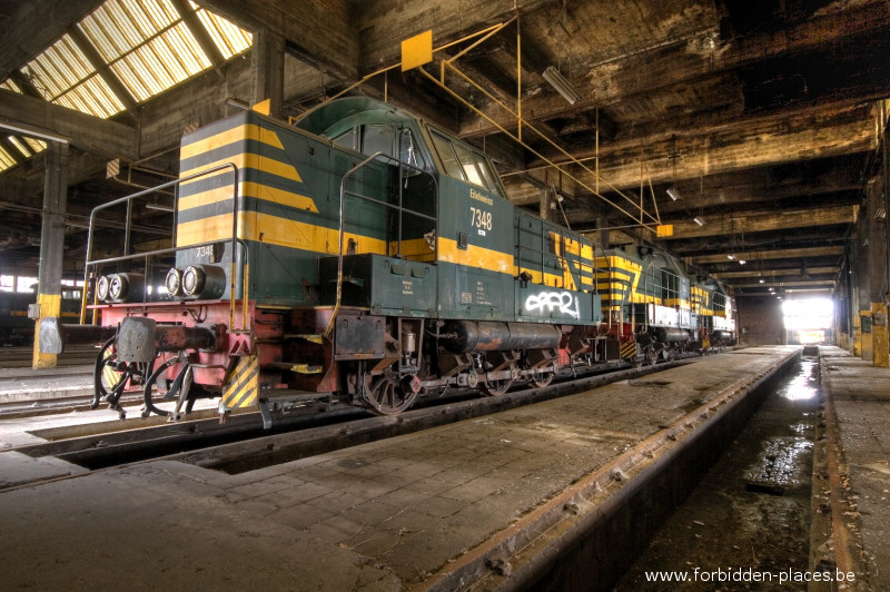 Locomotive's graveyard - (c) Forbidden Places - Sylvain Margaine - Again Edelweiss