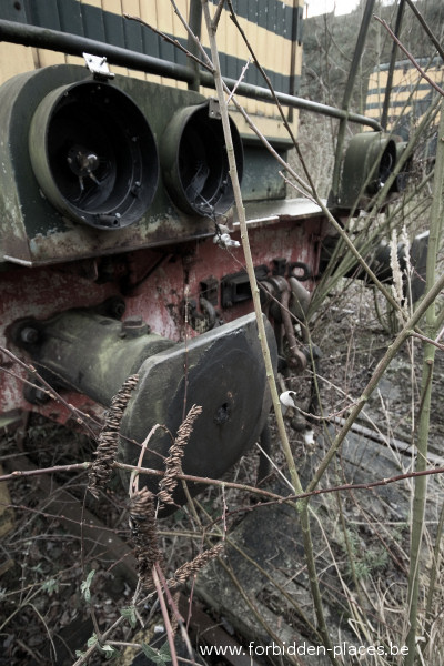 Locomotive's graveyard - (c) Forbidden Places - Sylvain Margaine - Weed!