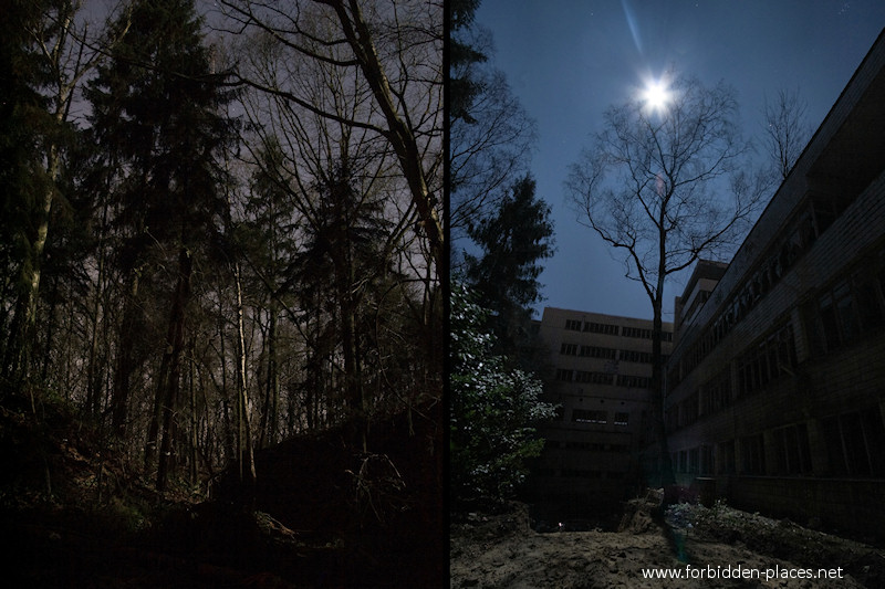 Le Sanatorium Joseph Lemaire - (c) Forbidden Places - Sylvain Margaine - 8 - Le sanatorium est situé en pleine forêt.