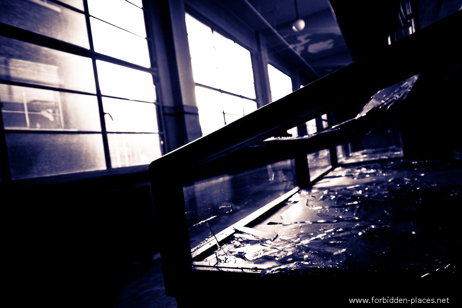 Val Benoît's University - (c) Forbidden Places - Sylvain Margaine - 9 - Display cabinet.