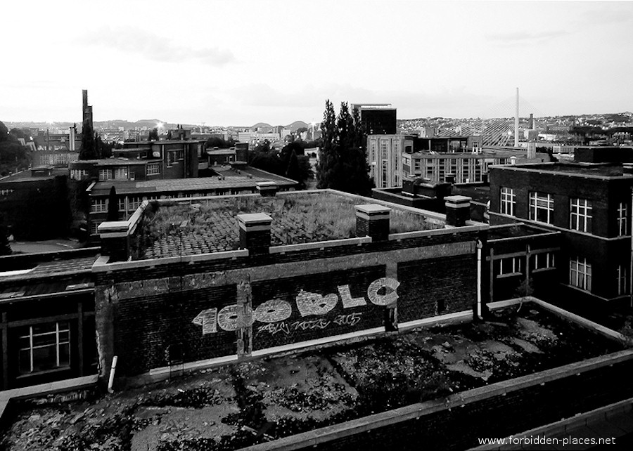 Val Benoît's University - (c) Forbidden Places - Sylvain Margaine - 7 - Rooftops.