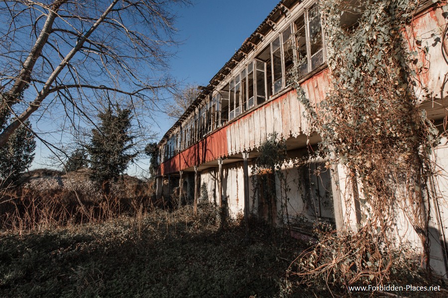 Châteaux abandonnés du Sud-Ouest - (c) Forbidden Places - Sylvain Margaine - 15 - Nature qui reprend ses droits